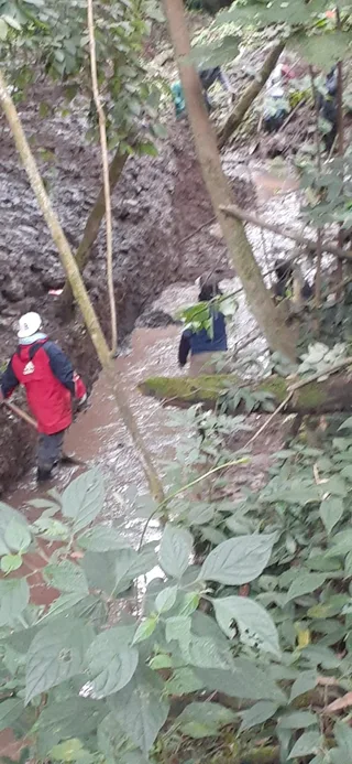 Avance de obra del 09/01/2026 — foto 6