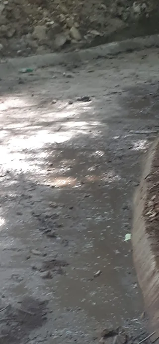 Avance de obra del 20/02/2026 — foto 4