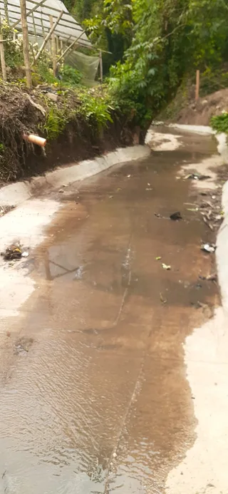 Avance de obra del 15/05/2026 — foto 6