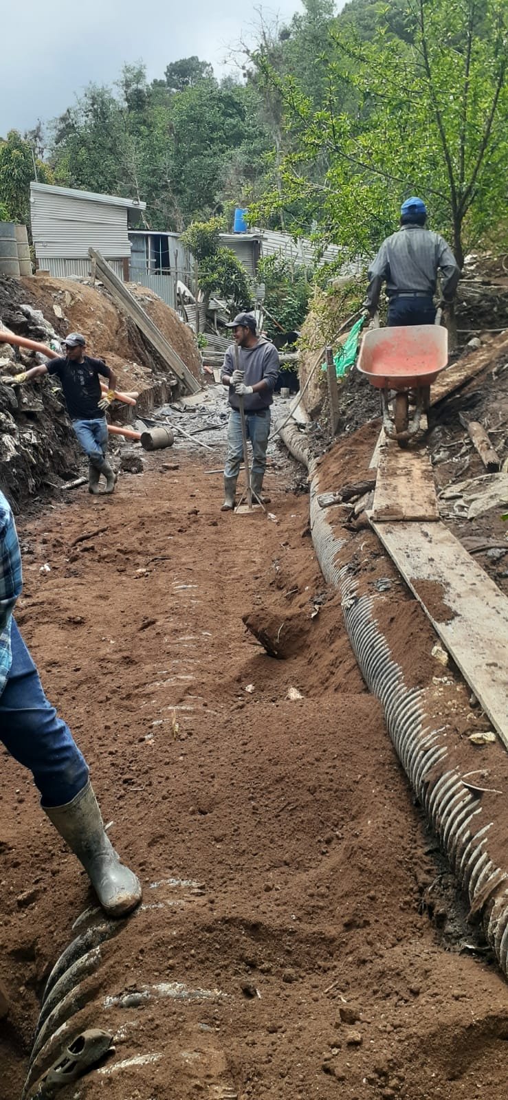 Reporte 15/05/2026